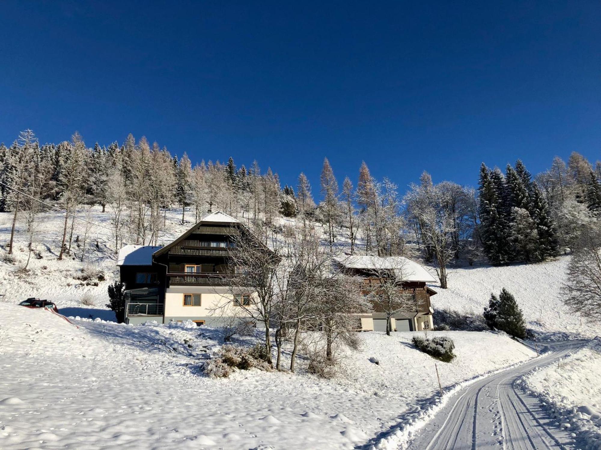 Appartement Vidmar-Ferienglueck Arriach Dış mekan fotoğraf